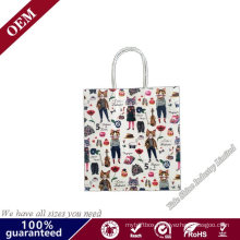 Promotional Luxury Custom Print Branded Paper Bag Gift Packing Cardboard Large Carrier Shopping Bag with Handle